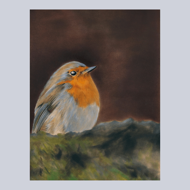 Oiseau N°5