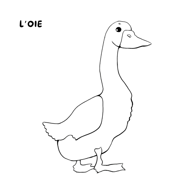 Cahier de coloriage - La ferme