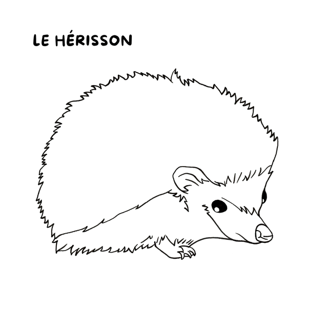 Cahier de coloriages - La forêt