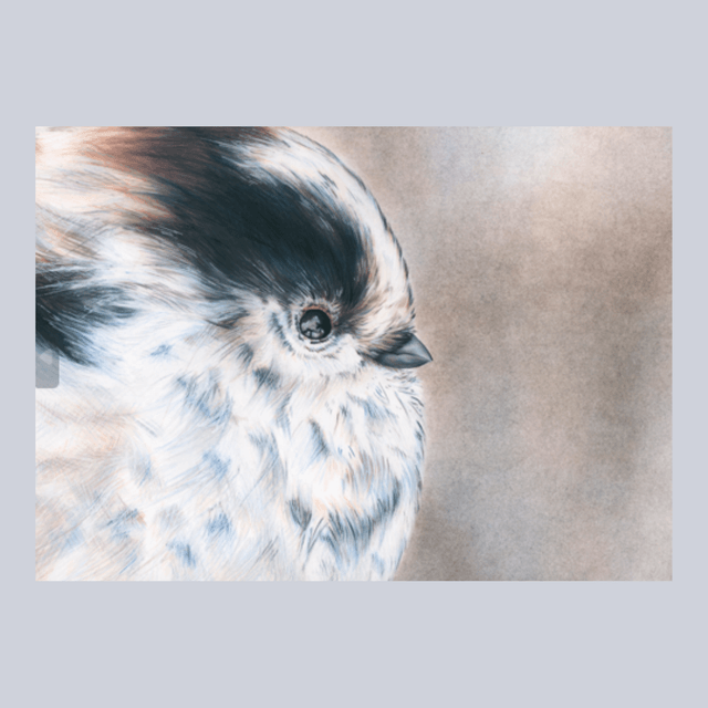 Oiseau N°3