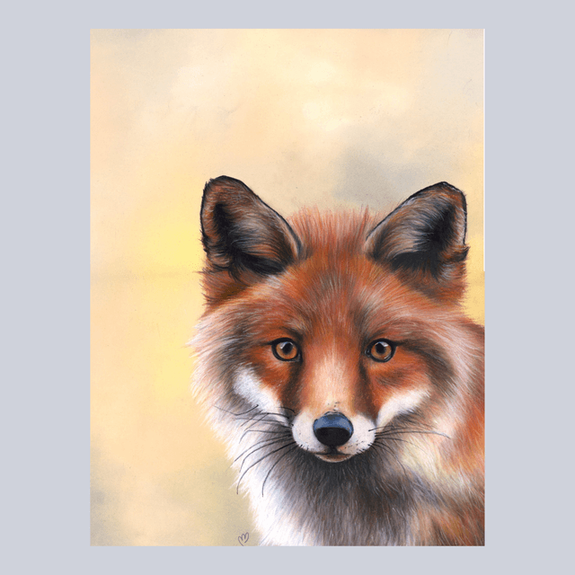 Renard N°5