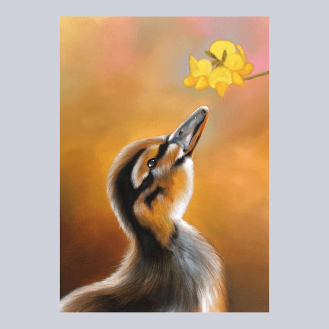 Canari N°1