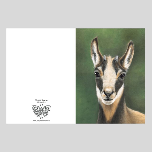 Carte de vœux - Chamois N°5
