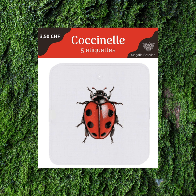 Pack étiquettes volantes - coccinelle