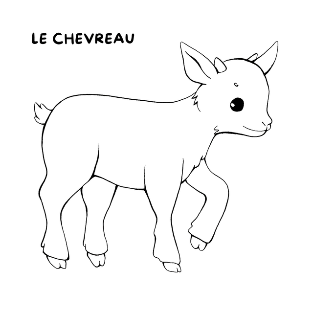 Cahier de coloriage - La ferme