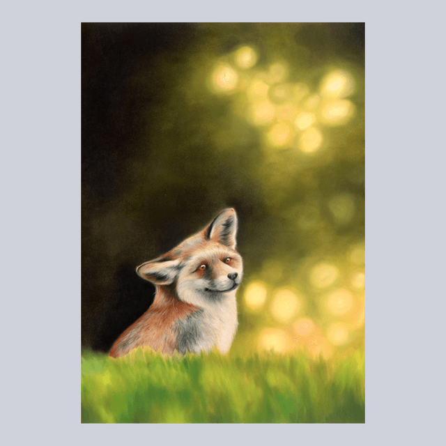 Renard N°8