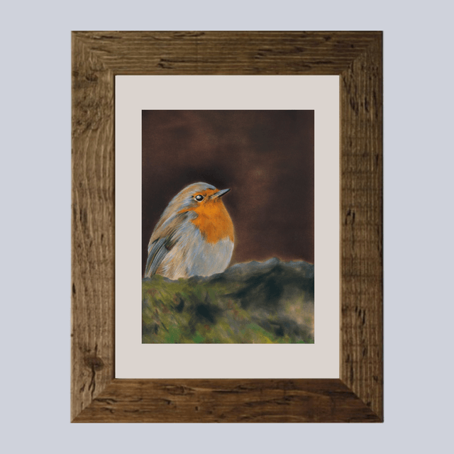 Oiseau N°5