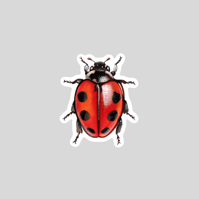 Stickers - Coccinelle