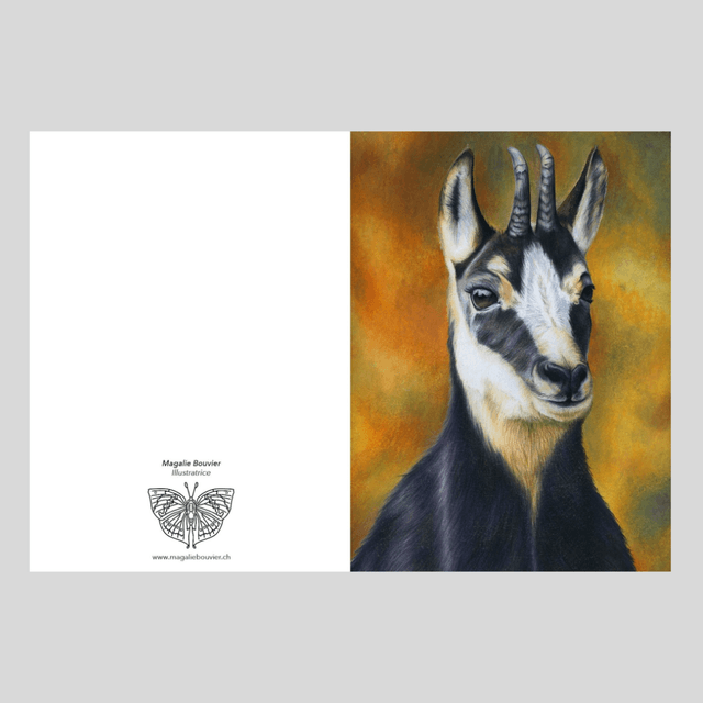 Carte de vœux - Chamois N°1