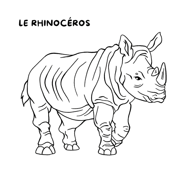 Cahier de coloriages - La savane