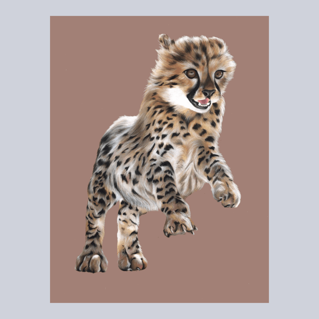 Guépard N°1