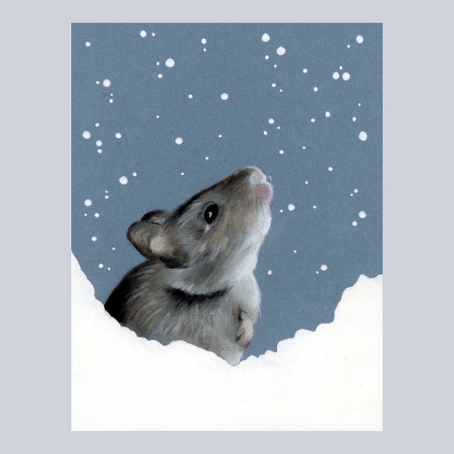 Souris N°1