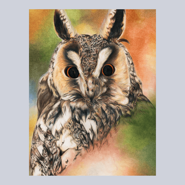 Hibou N°1