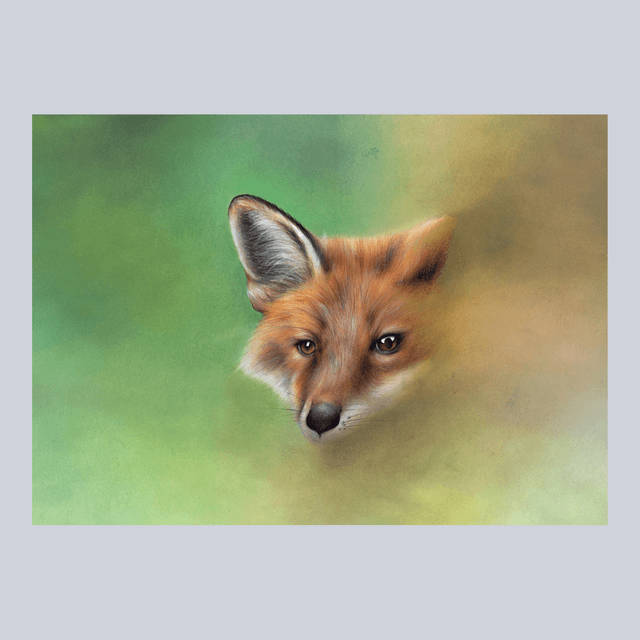 Renard N°6
