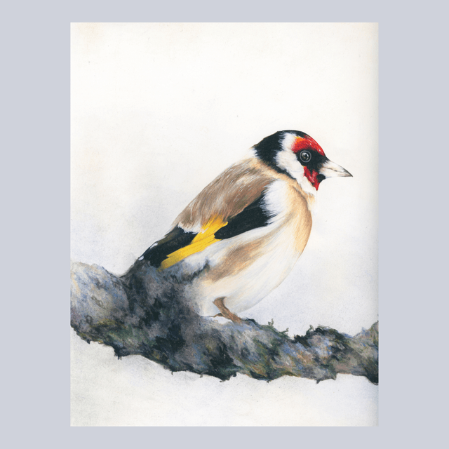Oiseau N°2