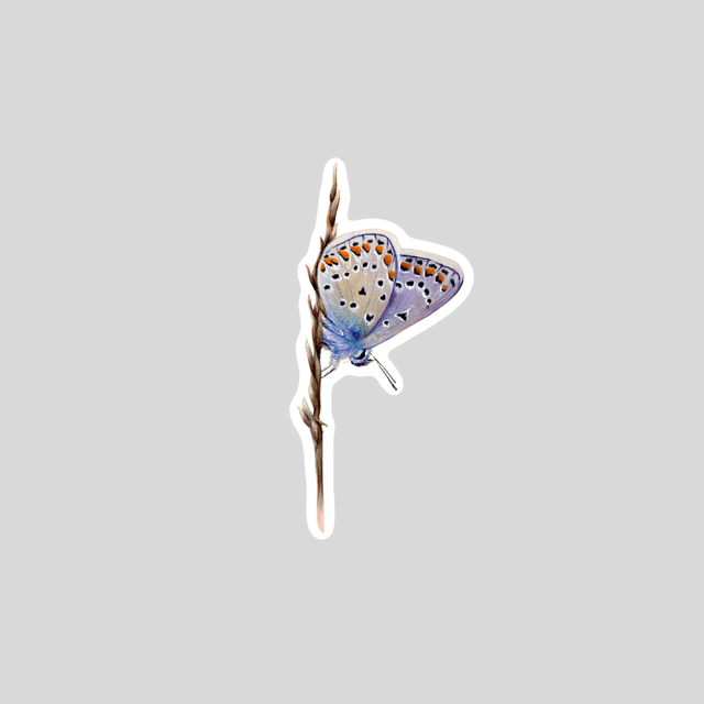 Stickers - Bleu Mélissa