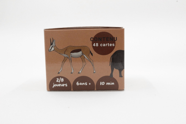 Jeu de mémoire - La savane