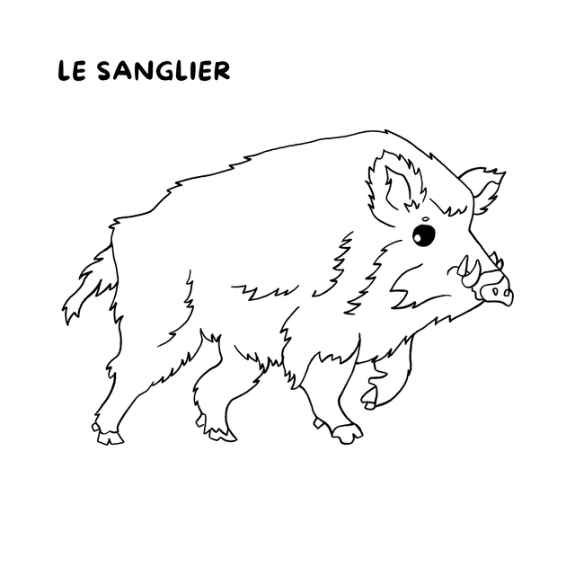 Cahier de coloriages - La forêt