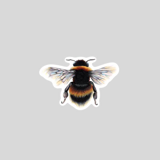 Stickers - Bourdon