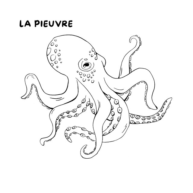 Cahier de coloriages - La mer
