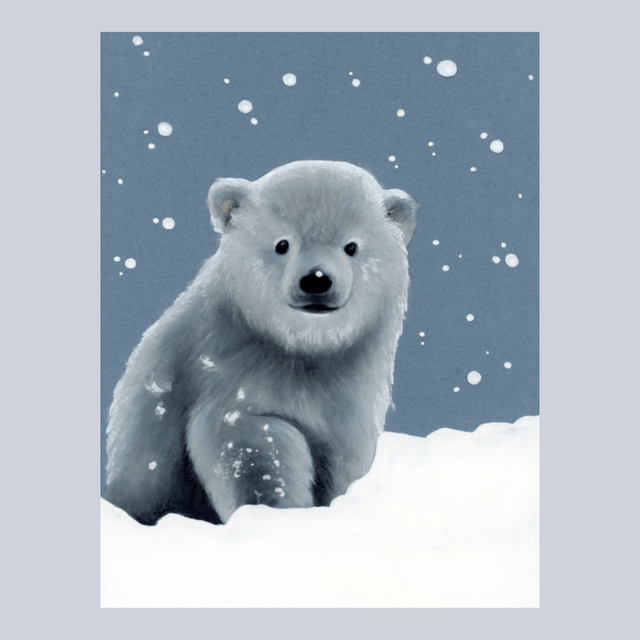Ourson N°1
