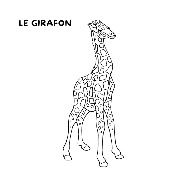 Cahier de coloriages - La savane