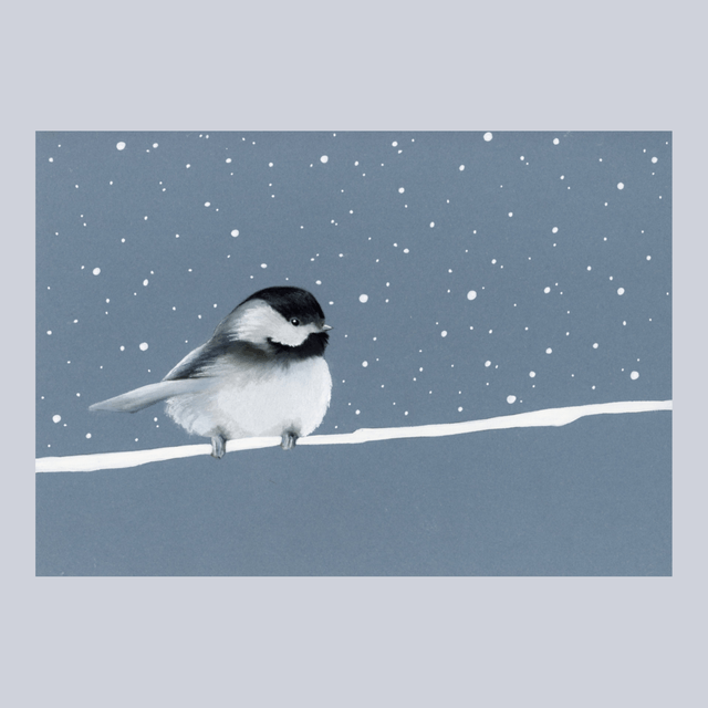 Mésange à tête noire N°1