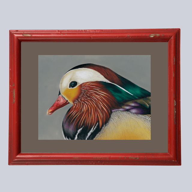Canard Mandarin