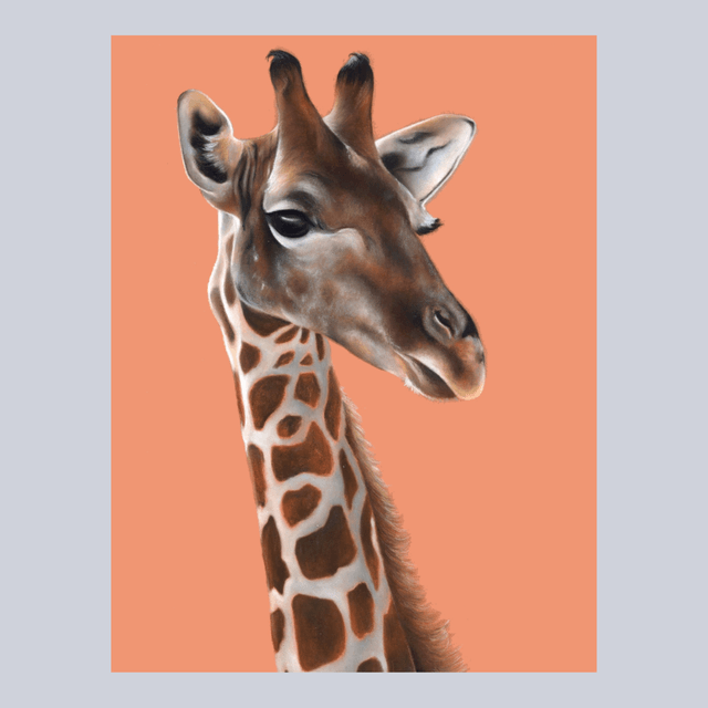 Girafe N°1