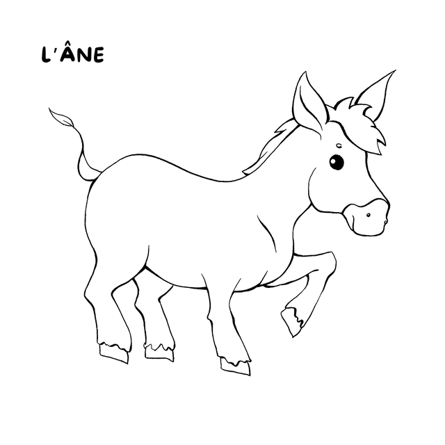Cahier de coloriage - La ferme
