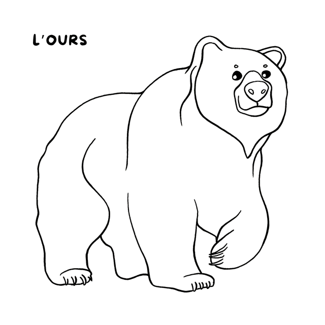 Cahier de coloriages - La forêt