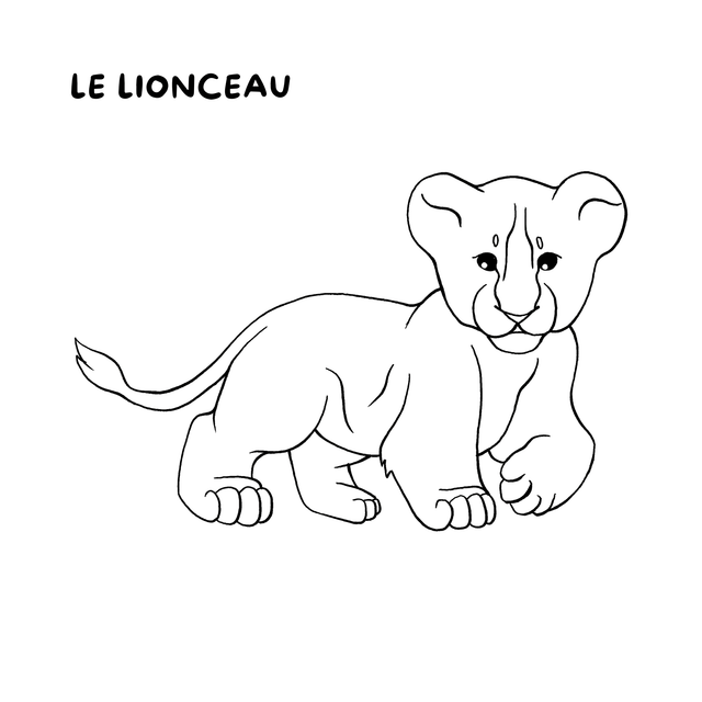 Cahier de coloriages - La savane