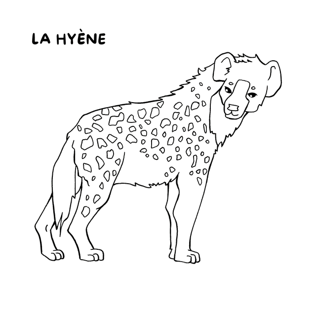Cahier de coloriages - La savane