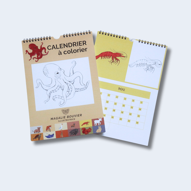 Calendrier animalier à colorier