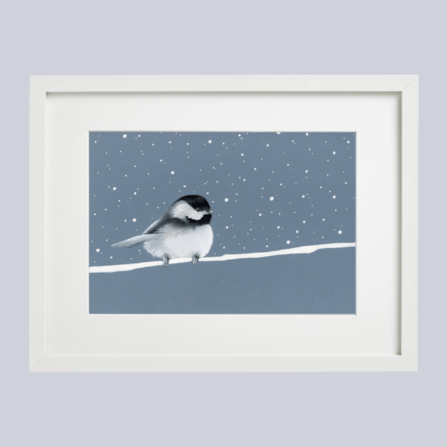 Mésange à tête noire N°1