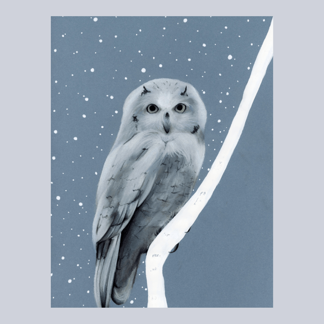 Chouette N°1