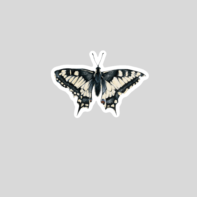 Stickers - Papillon Machaon