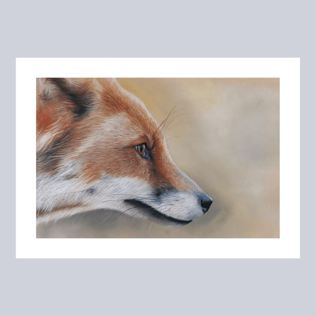 Reproductions - Renard N°4