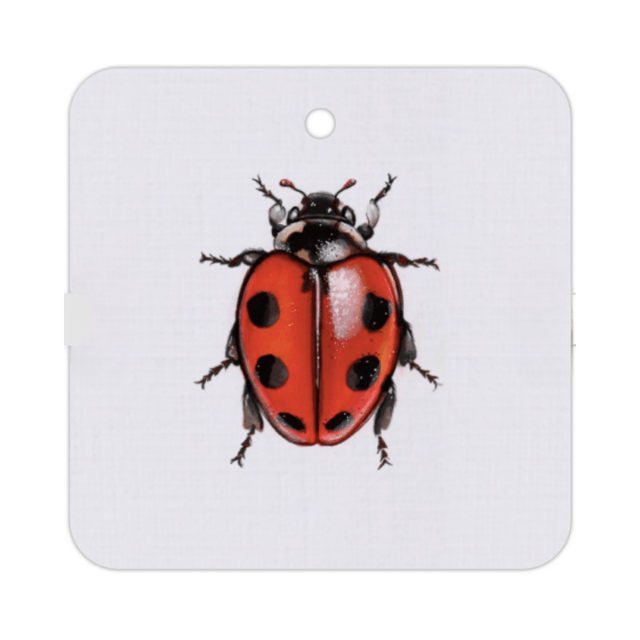 Pack étiquettes volantes - coccinelle