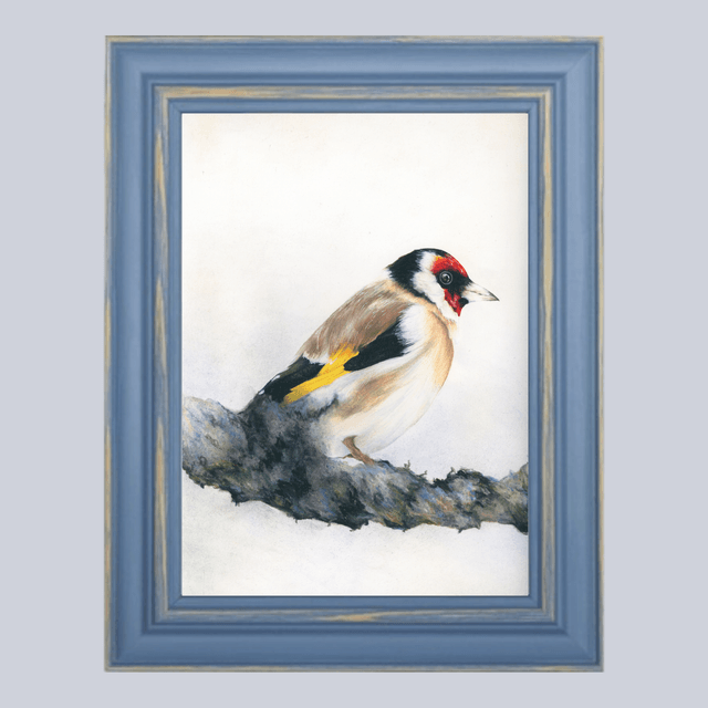 Oiseau N°2