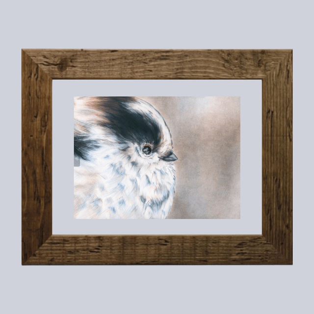 Oiseau N°3