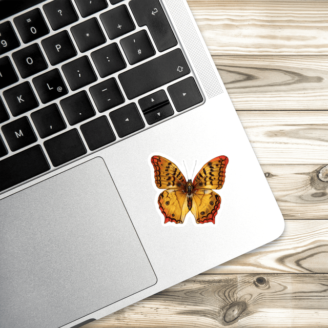 Stickers - Géant Atlas Moth Isolé