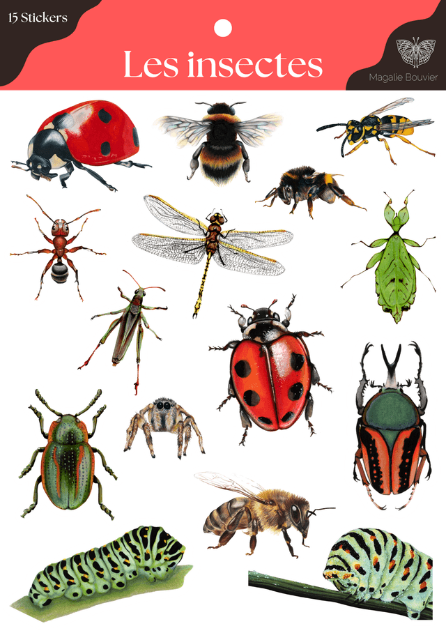 Planche stickers insecte