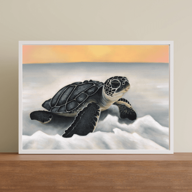 Tortue N°1