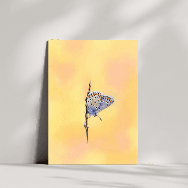 Carte de vœux - Papillon Bleu Mélissa N°1