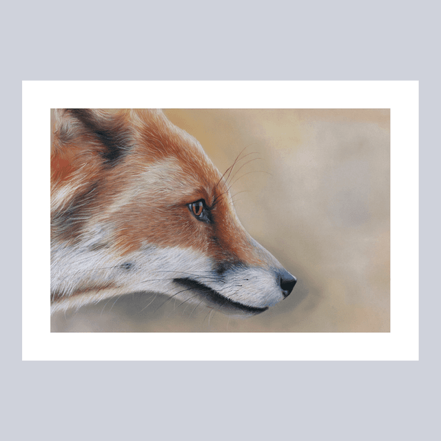 Reproductions - Renard N°4