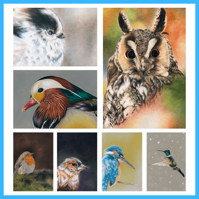 Pack de stickers oiseau - 7 pièces